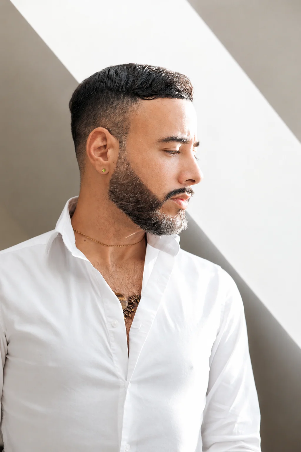 Luis J Torres