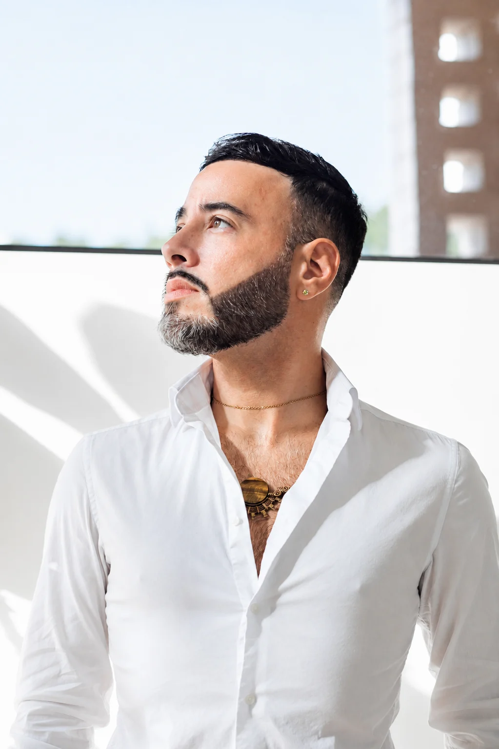 Luis J Torres